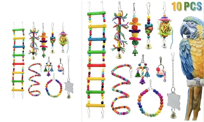 10 Piece Bird Toys